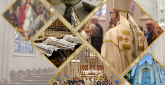 Called To Serve – A Video Series from the Diocese of Hamilton Vocations Office